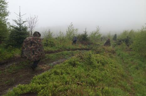 Celý deň po daždi